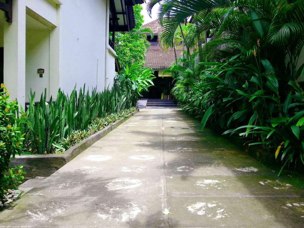 Paradiso 3*